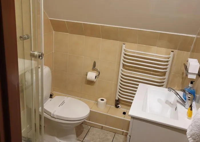 O.w.s. Strzecha * ドゥシュニキ・ズドルイ